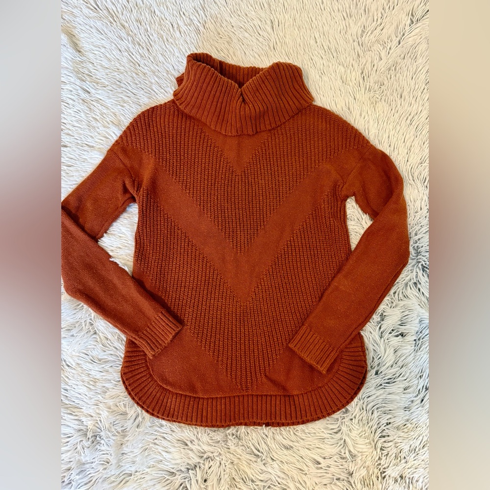 Banana Republic Burnt Orange Chevron Accent Turtleneck Sweater